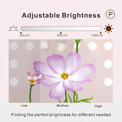 Starlight Leuchtstoff Bluetooth-Lautsprecher Spiegel mit weichem Licht